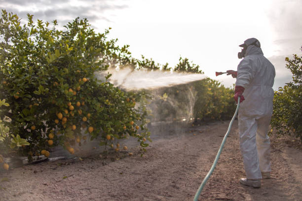 Best Cockroach Control Services  in Wadsworth, OH