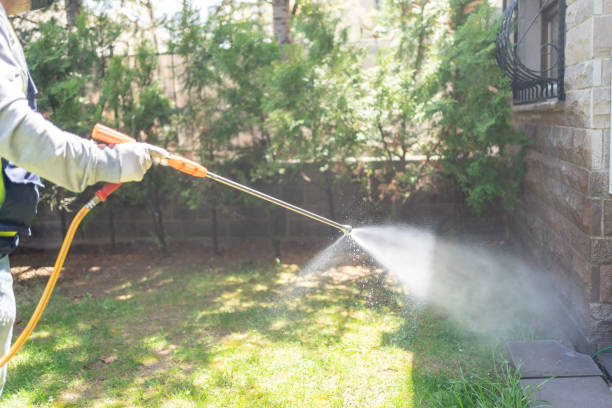 Best Spider Control Near Me  in Wadsworth, OH