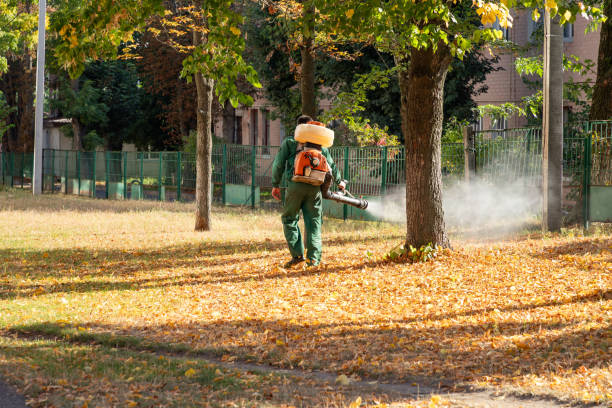 Best Bird Control  in Wadsworth, OH