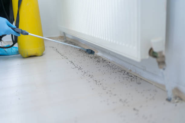 Best Bed Bug Extermination  in Wadsworth, OH
