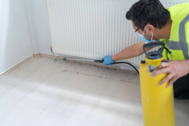 Best Pest Control Near Me  in Wadsworth, OH