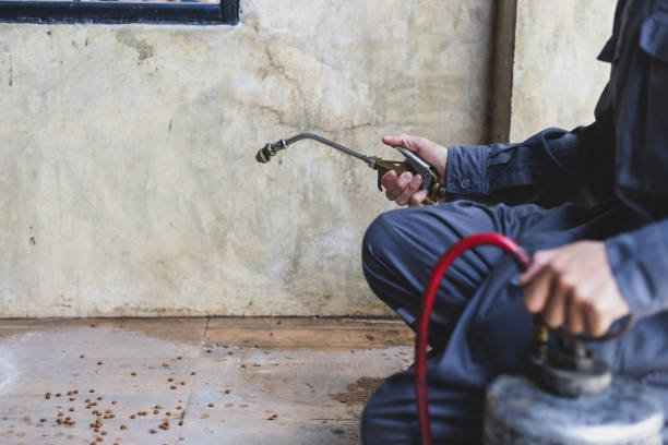 Best Mosquito Control Services  in Wadsworth, OH